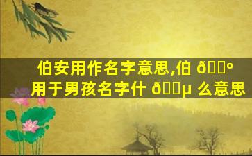 伯安用作名字意思,伯 🐺 用于男孩名字什 🐵 么意思